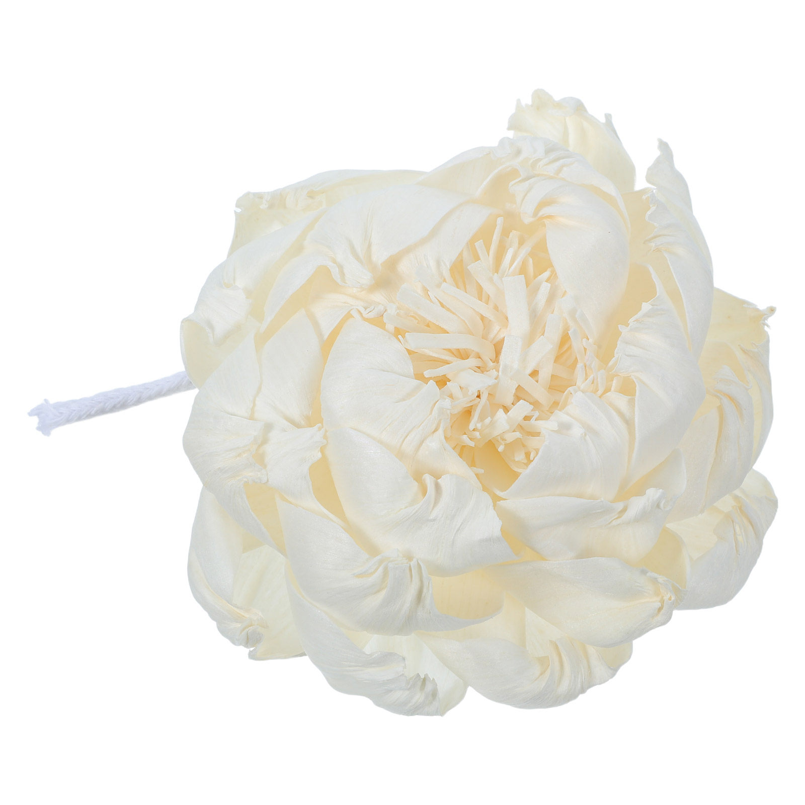牡丹の花型フレグランスディフューザー 12cm 人工牡丹の花 - Home And You Fragrance Diffuser のレビューと価格