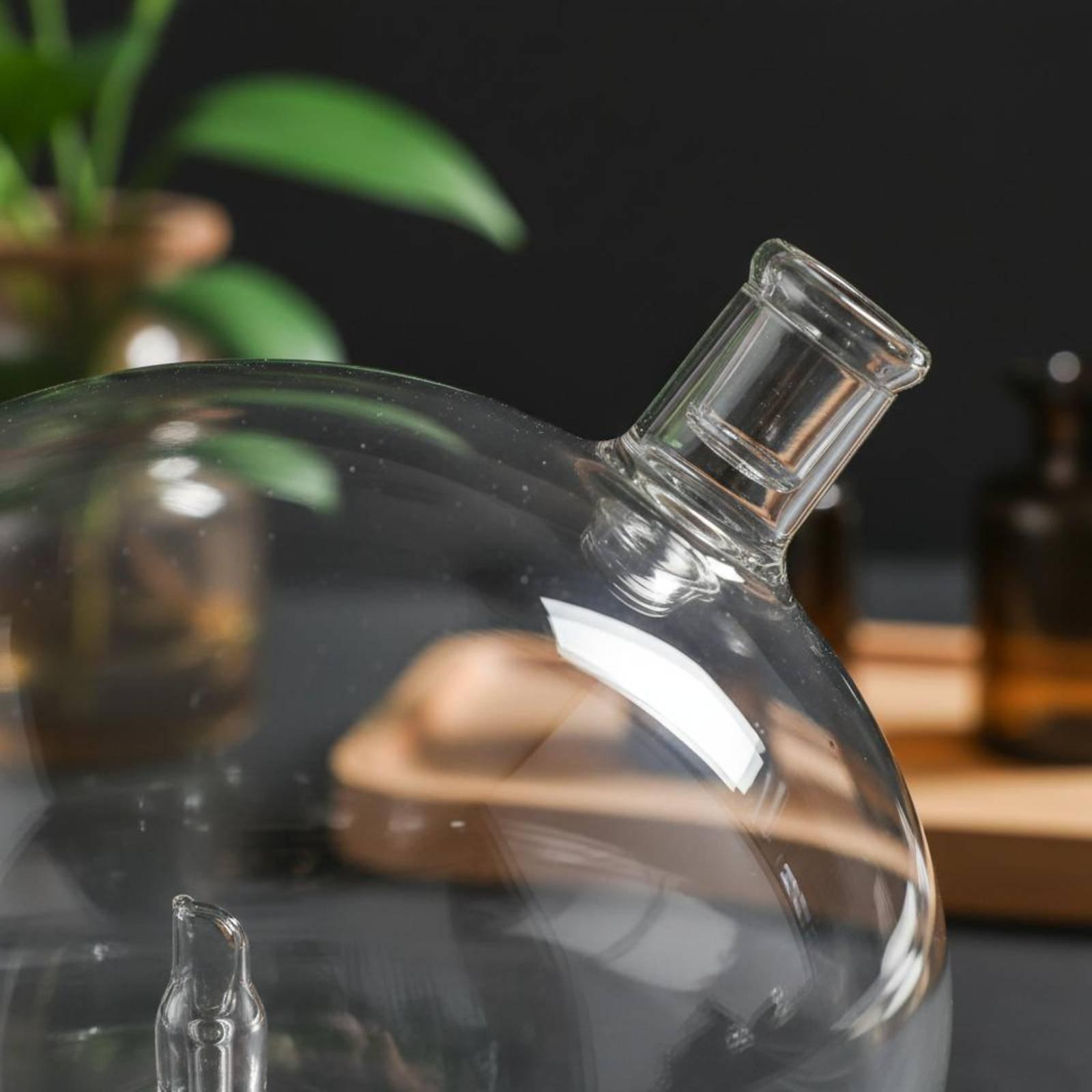 ディフューザーボトル ユニバーサルフィット ガラス交換用 ウ - Home And You Fragrance Diffuser のレビューと価格